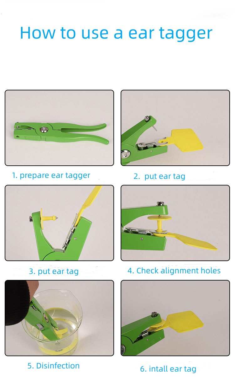 How to Use an Ear Tag Applicator.jpg How to Use an Ear Tag Applicator.jpg